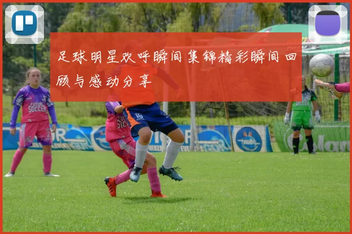 足球明星欢呼瞬间集锦精彩瞬间回顾与感动分享