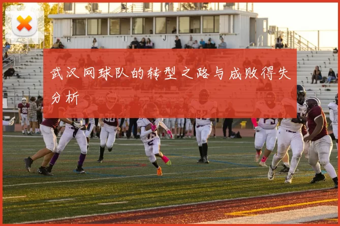 武汉网球队的转型之路与成败得失分析