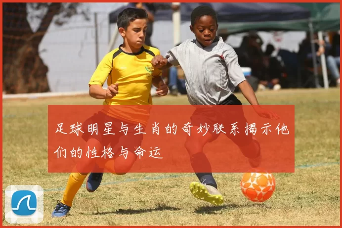 足球明星与生肖的奇妙联系揭示他们的性格与命运