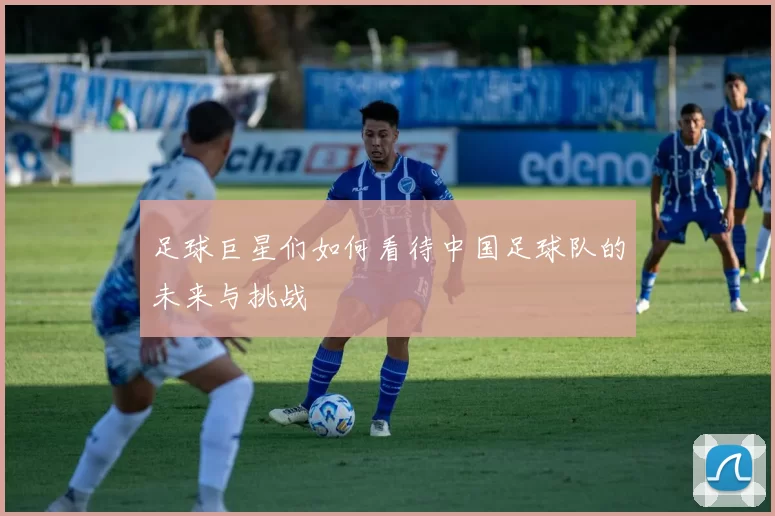 足球巨星们如何看待中国足球队的未来与挑战