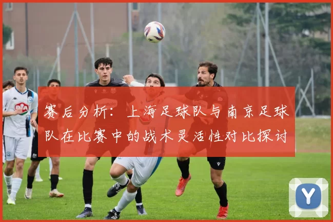 赛后分析：上海足球队与南京足球队在比赛中的战术灵活性对比探讨
