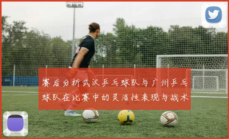 赛后分析武汉乒乓球队与广州乒乓球队在比赛中的灵活性表现与战术对比