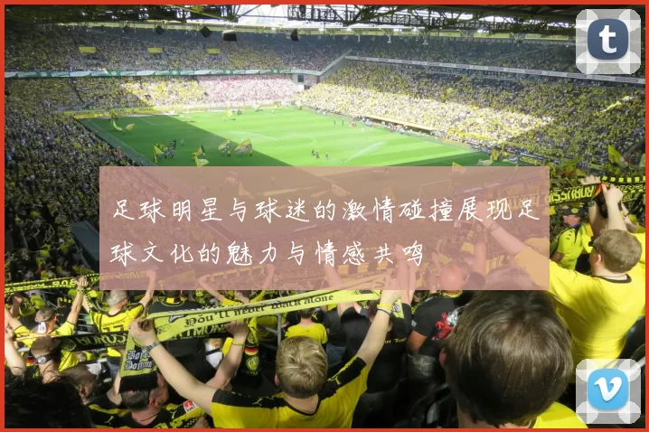 足球明星与球迷的激情碰撞展现足球文化的魅力与情感共鸣