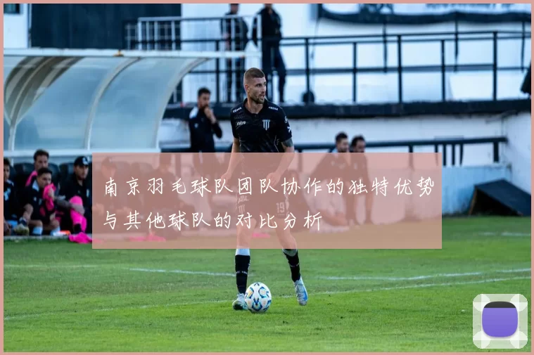 南京羽毛球队团队协作的独特优势与其他球队的对比分析