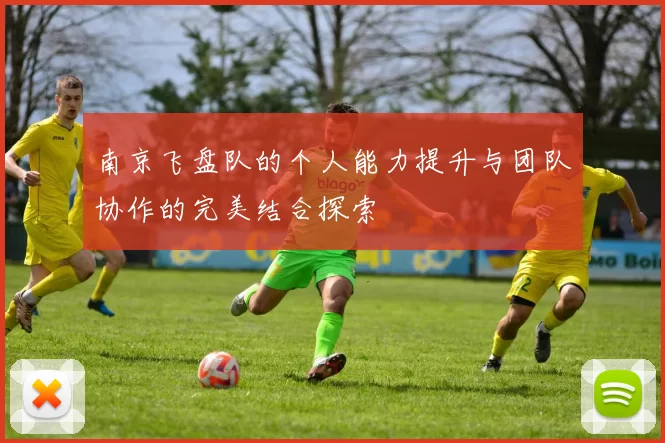 南京飞盘队的个人能力提升与团队协作的完美结合探索