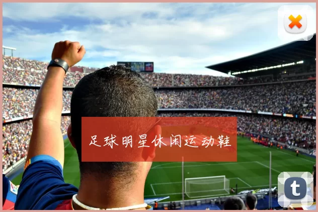 足球明星休闲运动鞋