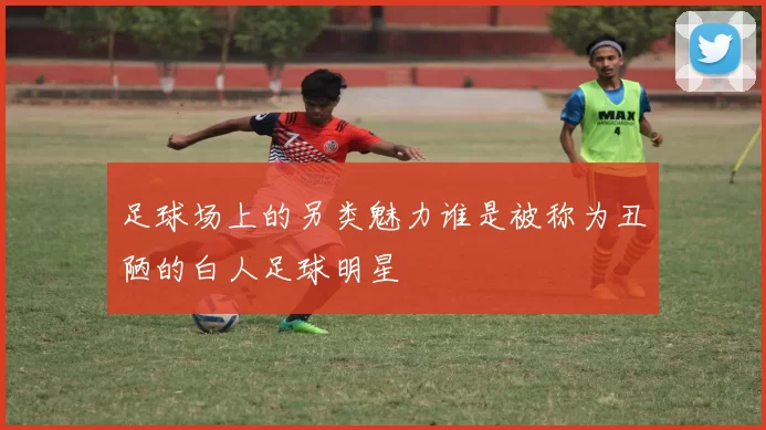 足球场上的另类魅力谁是被称为丑陋的白人足球明星