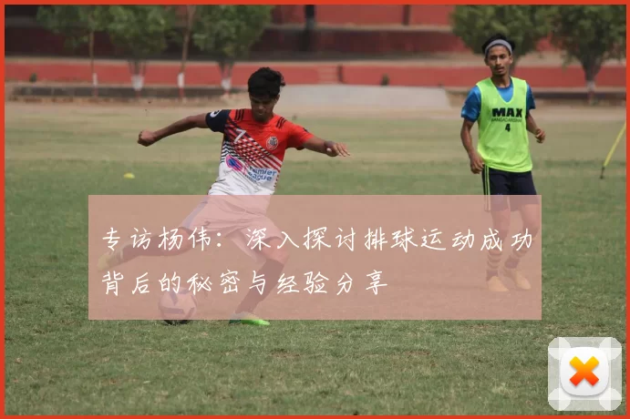 专访杨伟：深入探讨排球运动成功背后的秘密与经验分享