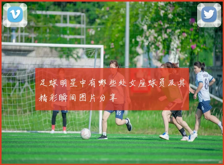 足球明星中有哪些处女座球员及其精彩瞬间图片分享