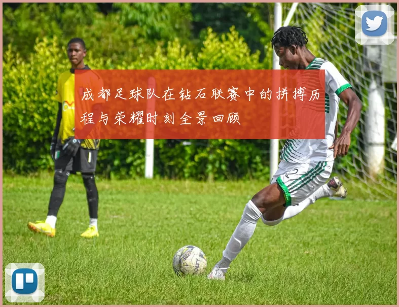 成都足球队在钻石联赛中的拼搏历程与荣耀时刻全景回顾
