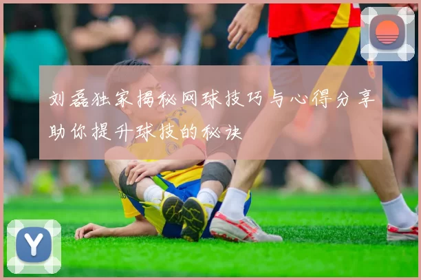 刘磊独家揭秘网球技巧与心得分享助你提升球技的秘诀