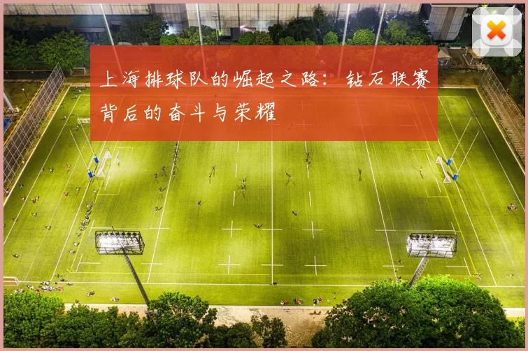 上海排球队的崛起之路：钻石联赛背后的奋斗与荣耀