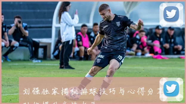 刘强独家揭秘排球技巧与心得分享助你提升竞技水平