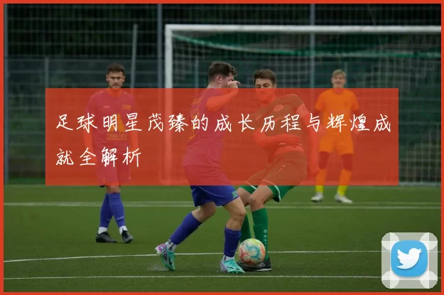 足球明星茂臻的成长历程与辉煌成就全解析