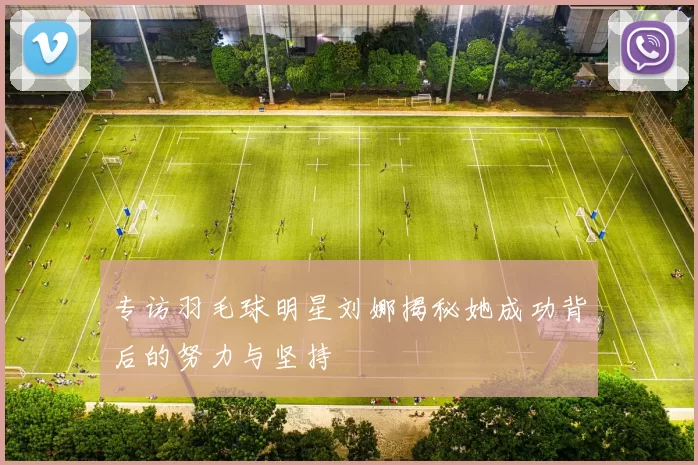 专访羽毛球明星刘娜揭秘她成功背后的努力与坚持