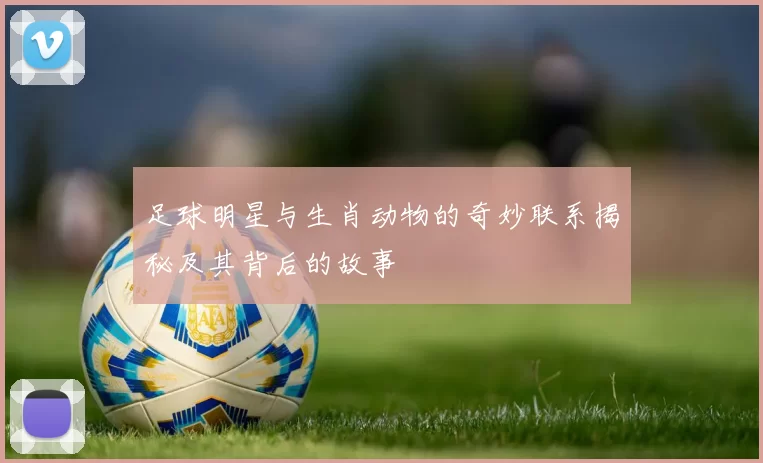 足球明星与生肖动物的奇妙联系揭秘及其背后的故事
