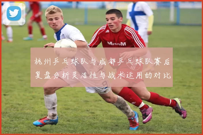 杭州乒乓球队与成都乒乓球队赛后复盘分析灵活性与战术运用的对比探讨