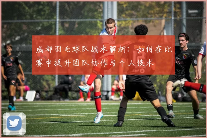 成都羽毛球队战术解析：如何在比赛中提升团队协作与个人技术