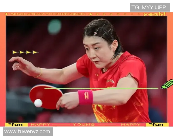 从零基础到高手之路乒乓球个人能力全面提升指南