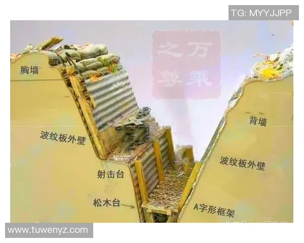 南京排球队区域防守战术深度解析与实战应用探讨