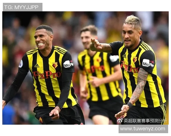 卡马尔与佐加顿斯对决时间安排及赛事前瞻分析