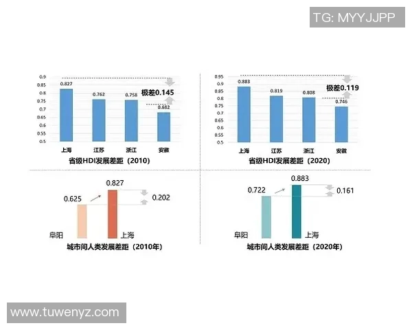 武汉飞盘队灵活性分析：数据揭示团队战术与运动员表现的深度关系